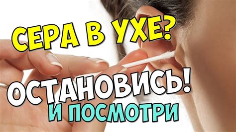 Медицинское лечение мухи в ухе: как это происходит?