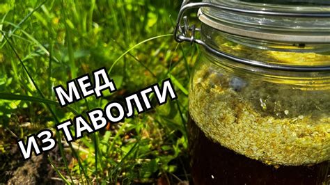 Мед при болезни Крона: эффективное лечение