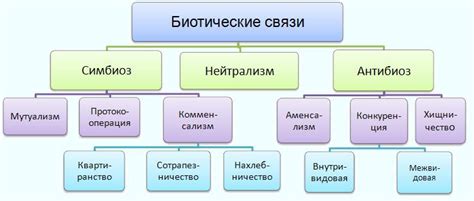 Между нами и близкими: биологические факторы