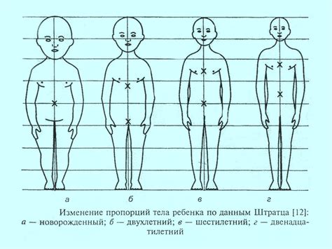 Мезоморфное телосложение: особенности и признаки