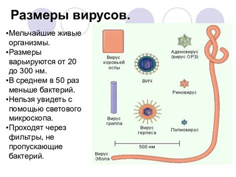 Мельчайшие размеры пылинок