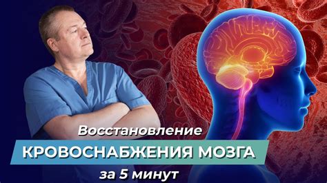 Ментальные упражнения для улучшения кровообращения в мозге