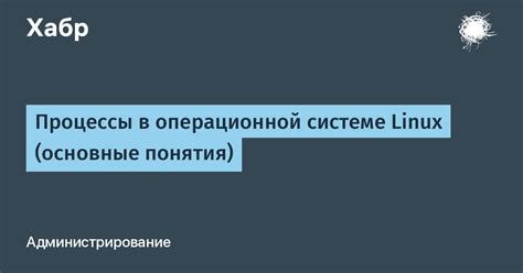 Меняем язык в операционной системе Linux