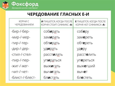 Меняющиеся корни глаголов