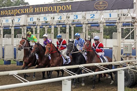 Мероприятия и события на ипподроме в Урсынове