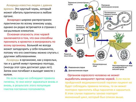 Меры безопасности от заражения ротовирусом