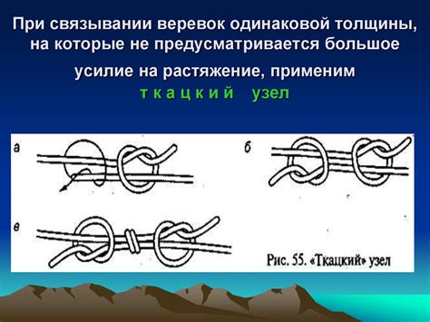 Меры безопасности при связывании кота