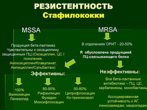 Меры профилактики передвижения золотистого стафилококка