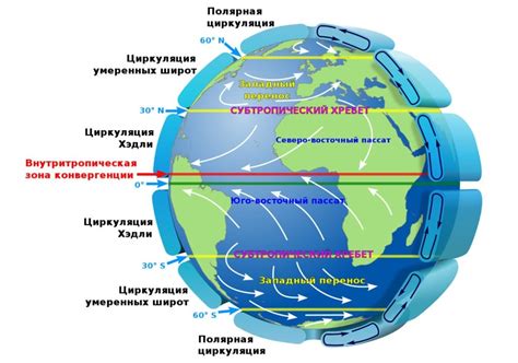 Местные и глобальные циркуляции