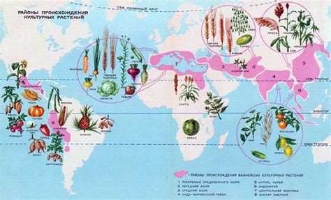 Место происхождения и распространения растений