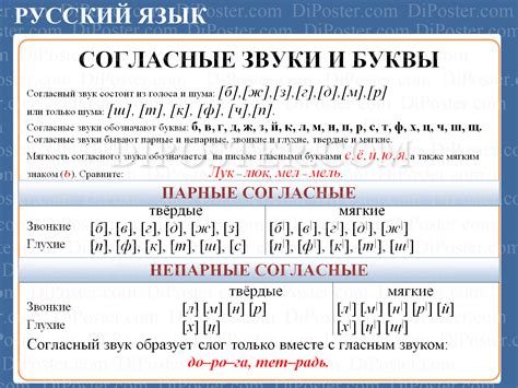 Место согласных в классификации