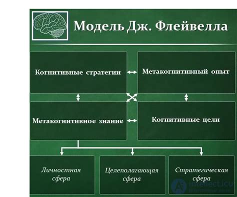 Метакогнитивные процессы и рефлексия