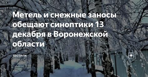 Метель и снежные заносы в стихах