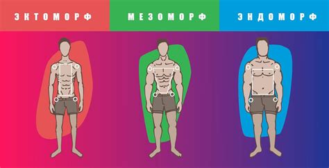 Методы анализа телосложения