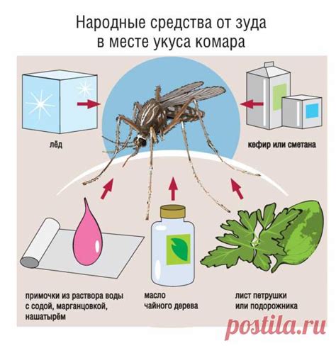 Методы борьбы с комарами в квартире: