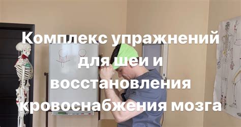 Методы восстановления подвижности несушки