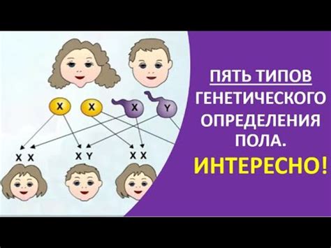 Методы генетического определения пола