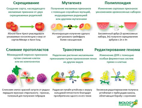 Методы генномодификации для увеличения мутаций