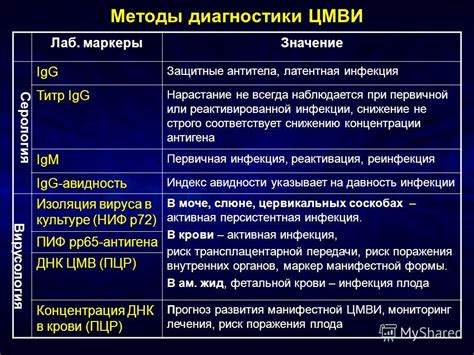 Методы диагностики активности цитомегаловируса