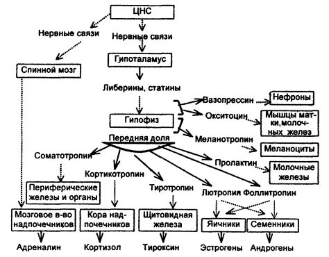 Методы для регуляции тиреоидного стимулирующего гормона