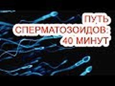 Методы зачатия без полового акта