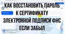 Методы изменения пароля в Электронной Системе Формирования отчетности