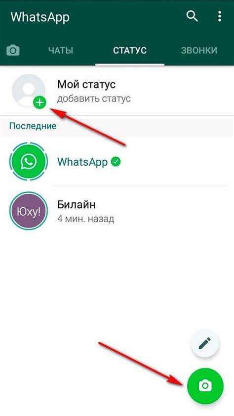 Методы изменения статуса сообщения в WhatsApp