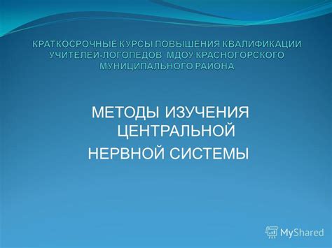 Методы изучения активности мозга при творческом процессе