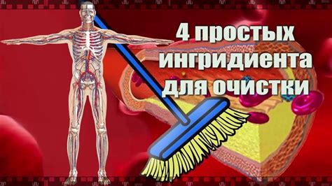 Методы изучения работы сосудов организма: всё, что нужно знать