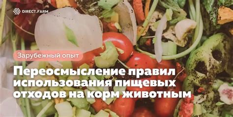 Методы использования пищевых отходов