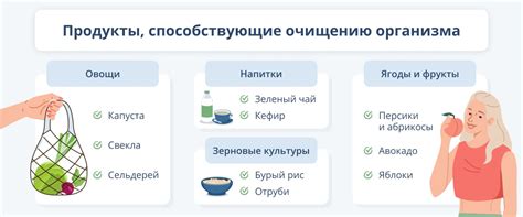 Методы и преимущества очищения организма