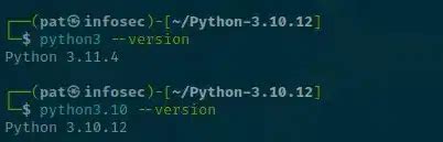 Методы определения версии Python в Linux