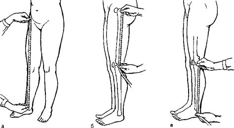 Методы определения длины ног