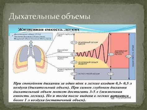 Методы определения наличия дыхания: