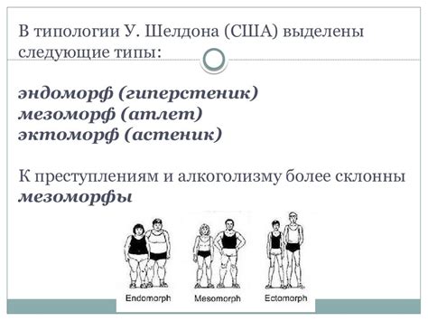 Методы определения типологии личности