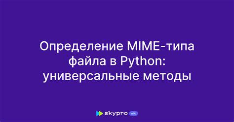 Методы определения формата файла Python