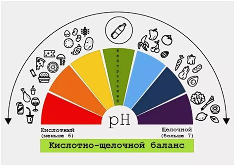 Методы определения щелочного баланса организма: простые и эффективные