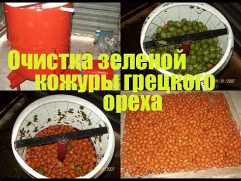 Методы очистки грецкого ореха