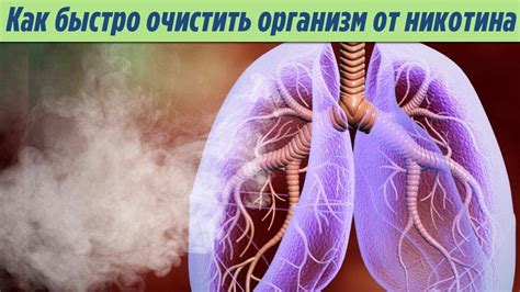 Методы очищения организма от никотина