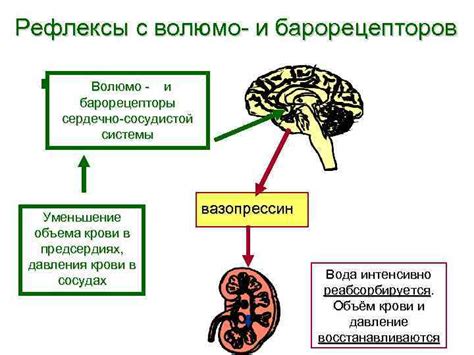 Методы повышения осмотического давления