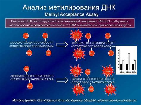 Методы поиска трнк при известной ДНК: различные подходы