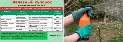 Методы предварительной обработки винограда