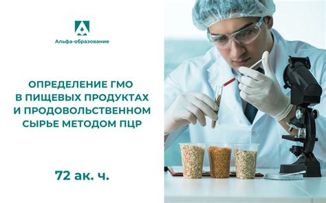 Методы проверки наличия ГМО в продуктах: советы и рекомендации