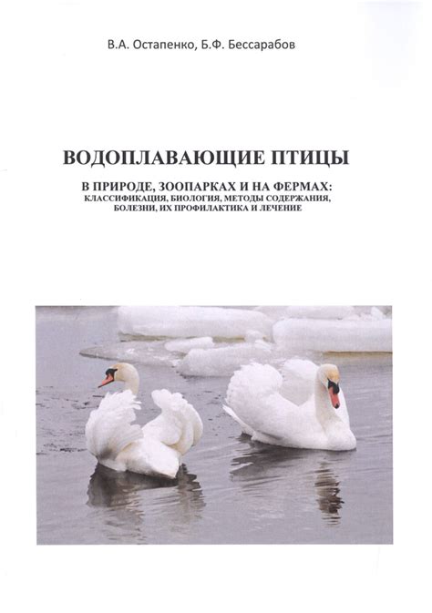 Методы проверки птицы на болезни: важные инструменты и принципы