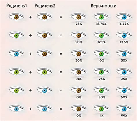 Методы прогнозирования цвета глаз ребенка
