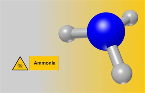 Методы устранения аммиака из воды: обзор технологий и принципы работы