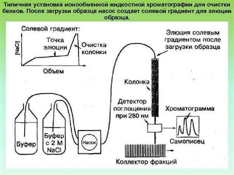 Методы хроматографии для определения массы белка