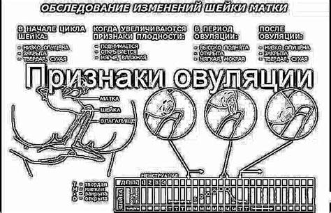 Метод распознавания по весу