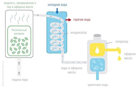 Метод экстракции эфирного масла