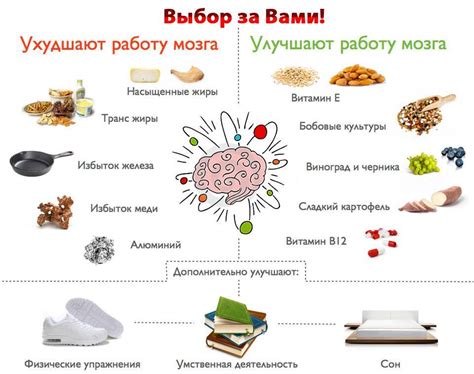 Метод 1 - Правильное питание для мозга